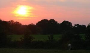 August "August - Maria Joy"