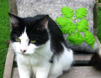 Kenny and Felt Pillow Kenny and Felt Pillow