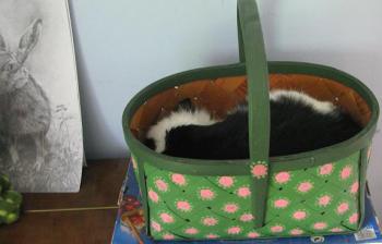 Kenny in a Basket by maria joy
