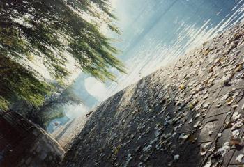 River Seine, Paris by Maria Joy