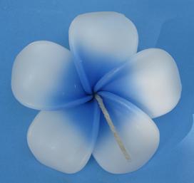 Frangipan Floating Flower Candles
