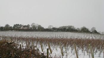 South Downs in new National Park