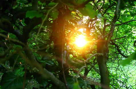 End of the day - maria joy