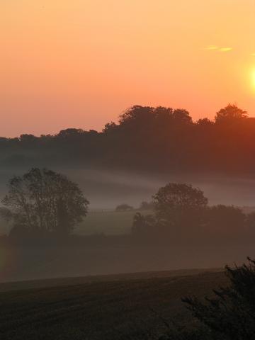 Wish Upon - maria joy