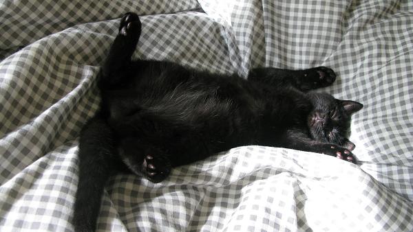 Taking it easy - m.joy