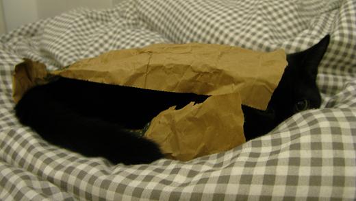 You cant see me - m.joy