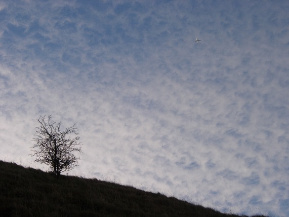 mackeral sky - m.joy