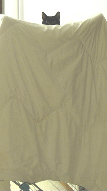 Fluf's new home - m.joy