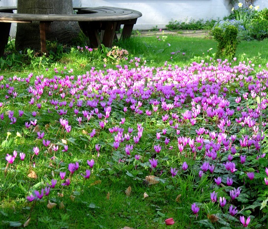 Continuous like the stars - m.joy