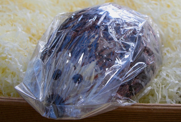 Chocolate Hedgehog - Rainbow Organic Chocolates - Brighton Open Market - m.joy