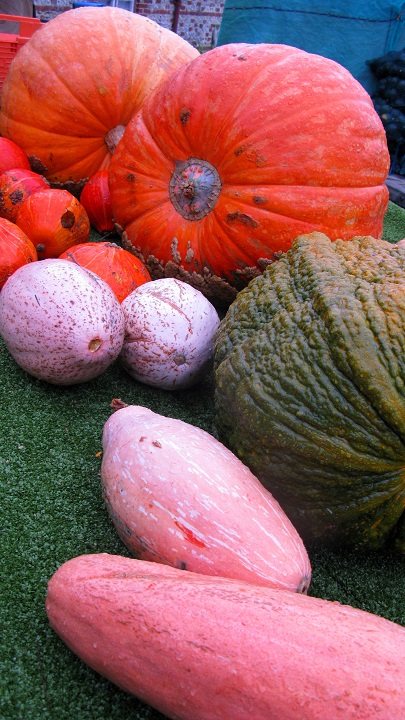 Almost Halloween - m.joy