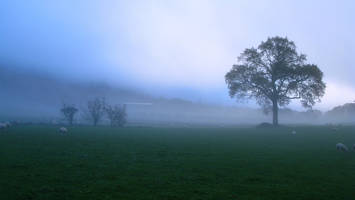 On the way to St Bega - m.joy