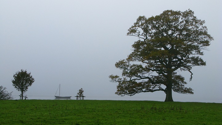 Water meets Earth - m.joy