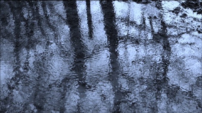 blue reflection - m.joy