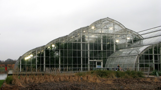 Butterflies in the Glasshouse