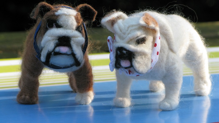 Elvis and Dolores - m.joy