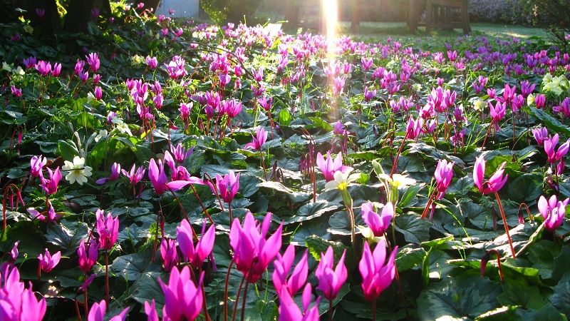 Easter monday - m.joy