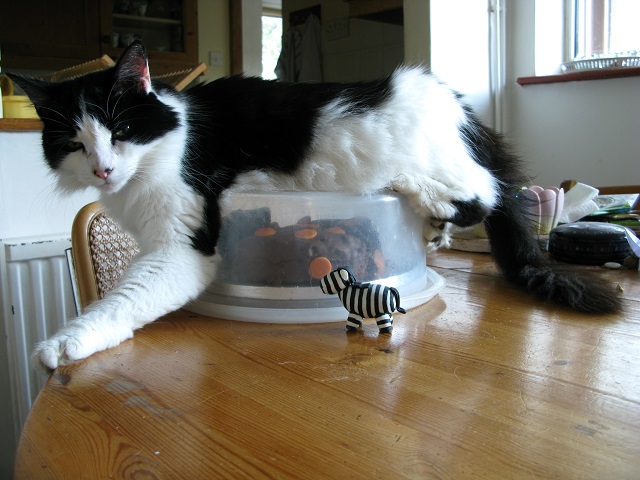 Kenny - thinking of you - m.j