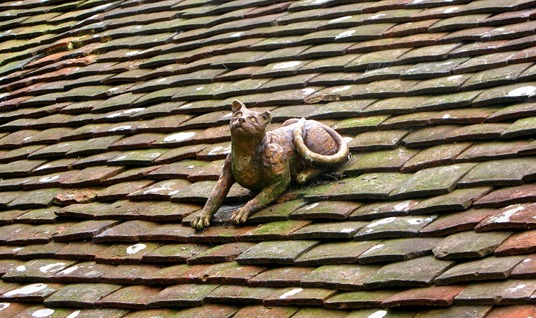 Cat on the roof - m.joy