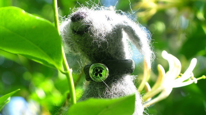 handmade dog in honeysuckle - m.joy