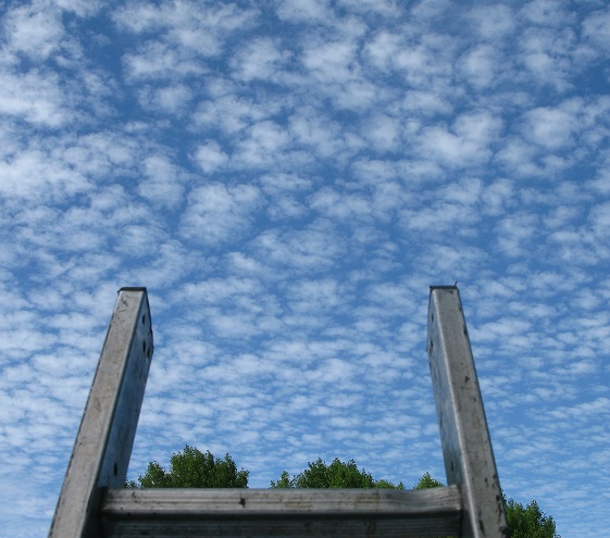Up the ladder to the sky - m.joy