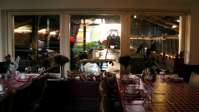 Breakfast on the farm - m.joy