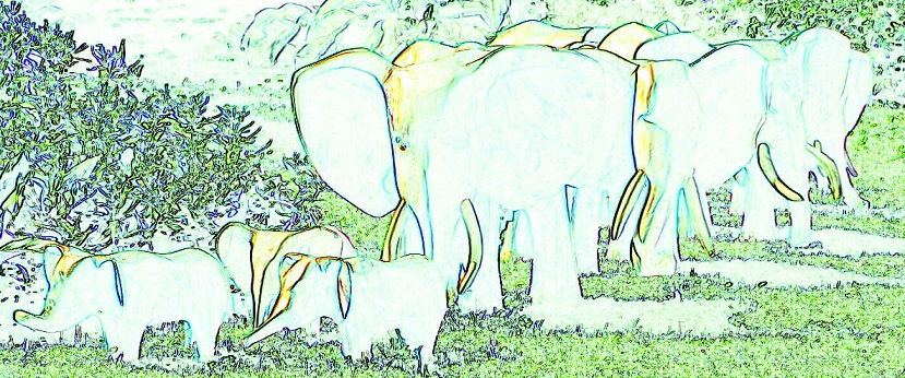 Small Woolly Elephant - m.joy