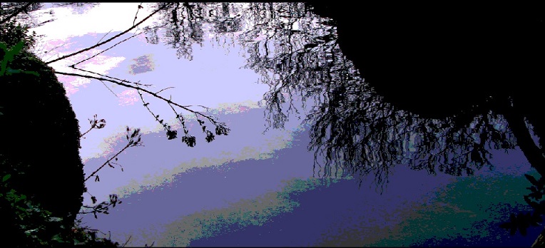 Riverbank Reflection - m.joy