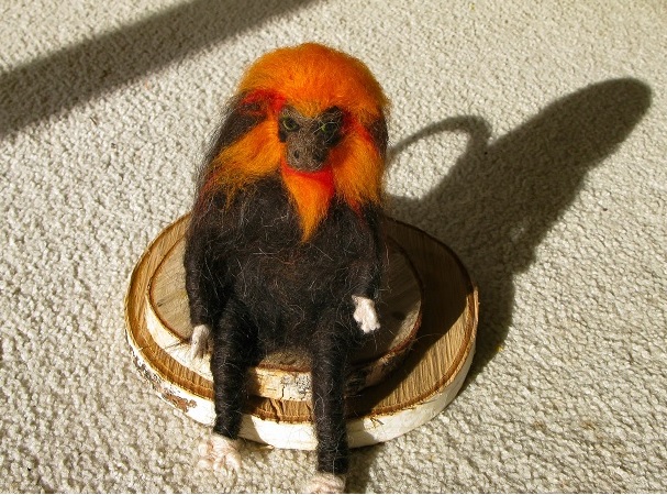 Golden Lion Tamarin - m.joy