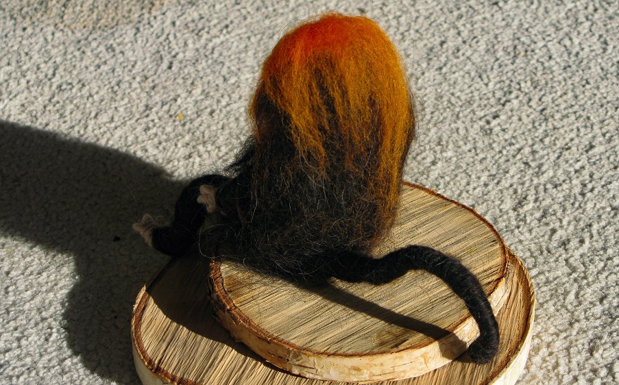 Golden Lion Tamarin - m.joy