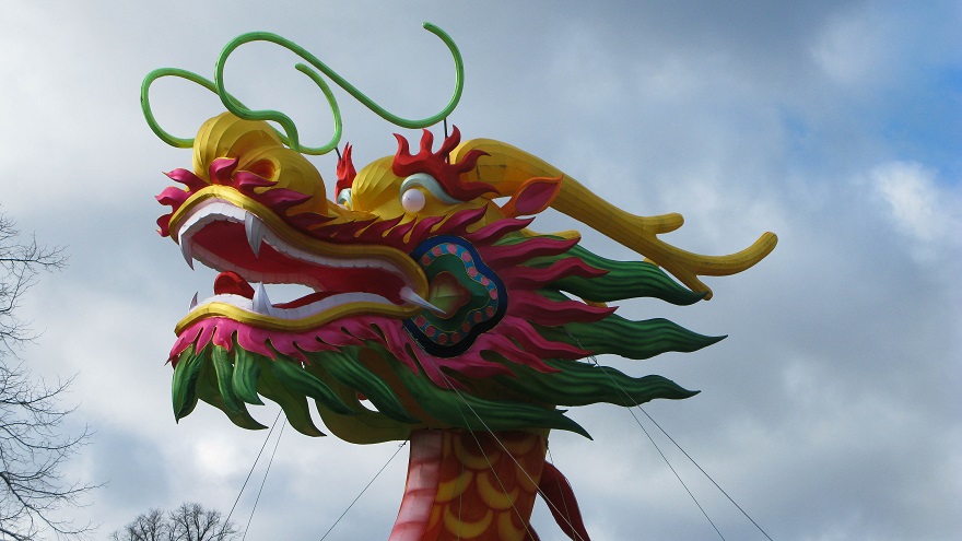 Wuji Swimming Dragon - m.joy