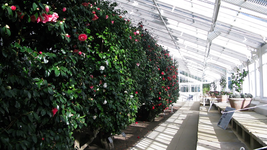 Conservatory - m.joy