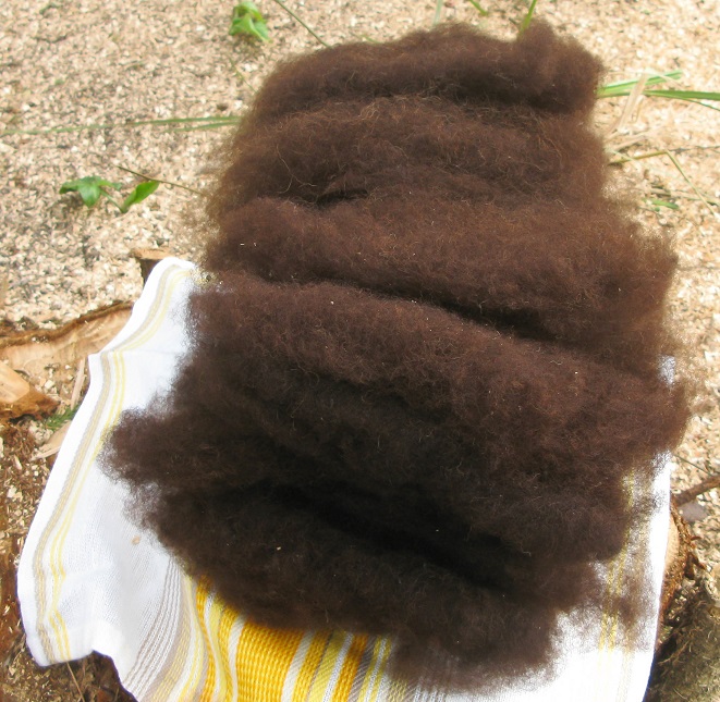 Handcarded Zwartble Wool from smallwoollyelephant