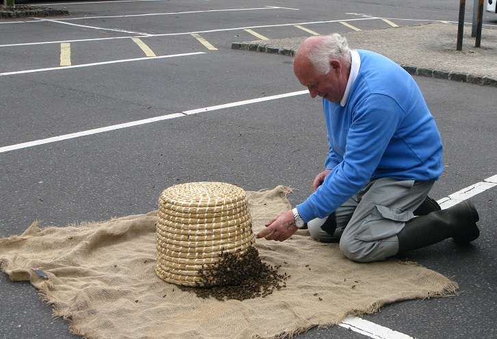 Beekeeper and Swarm - m.joy Beekeeper and Swarm - m.joy