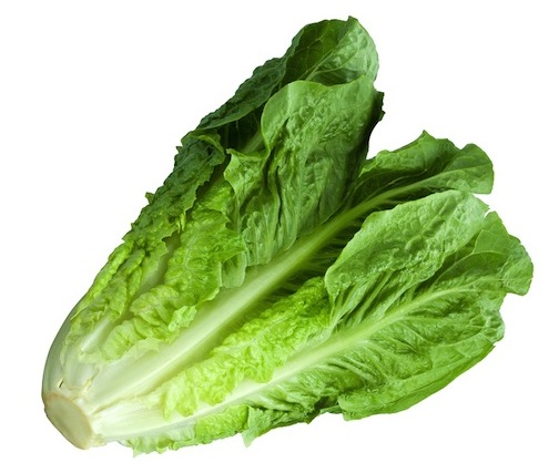 Romaine-lettuce