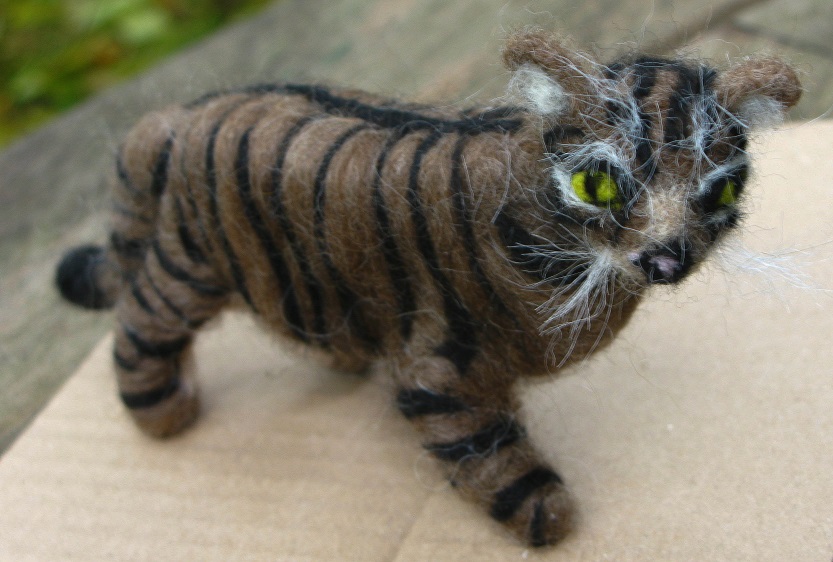 Scottish Wildcat - m.joy