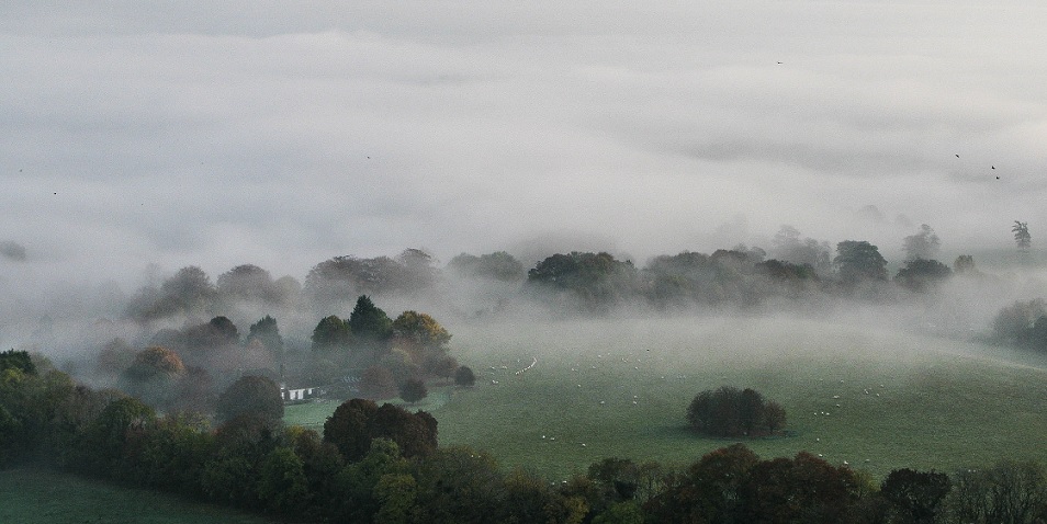 Hidden in the Mist - m.joy