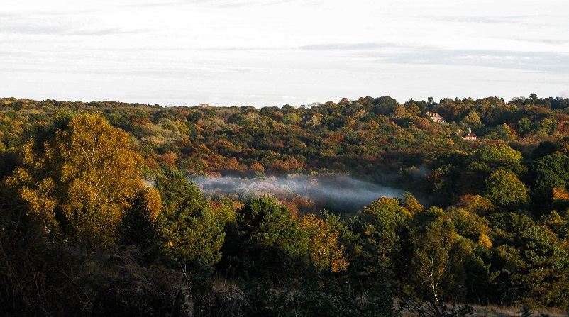 Halloween Autumn Mist - m.joy