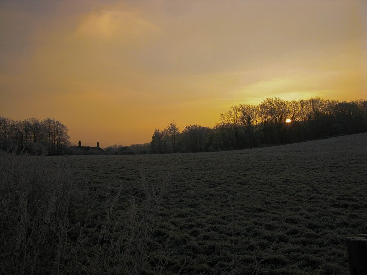 Frosty Morning - m.joy