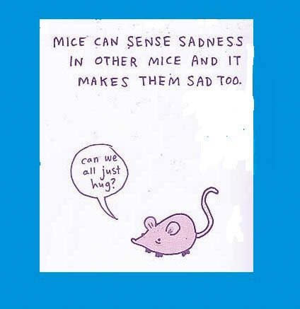 Blue Mice - Brooke Barker