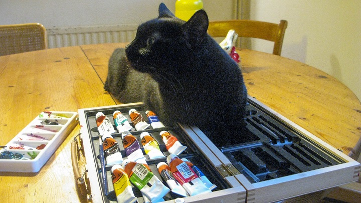 Fluffy helping me - m.joy