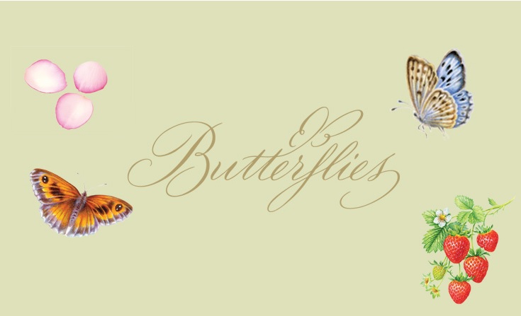 Butterflys Artisan Biscuits Butterflys Artisan Biscuits