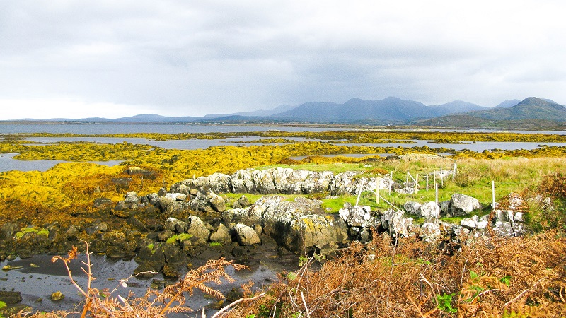 Connemara - m.joy