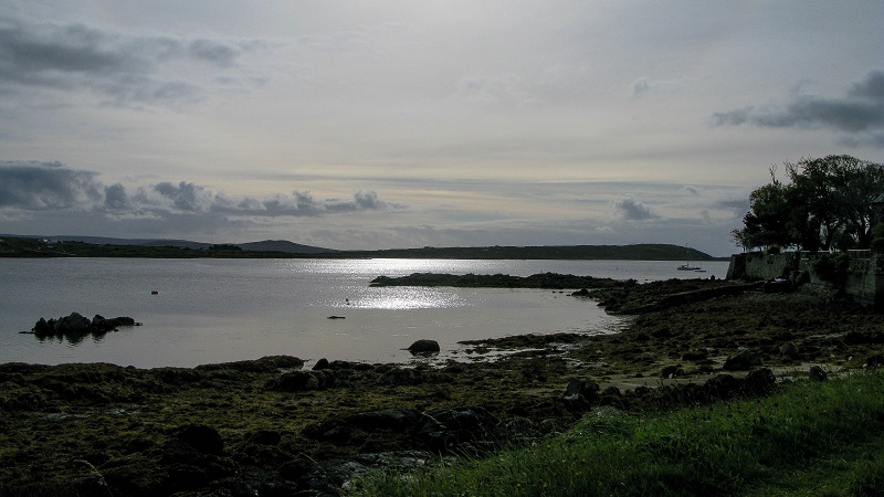 Call of the Sea - m.joy