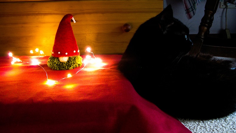 Tomte and Fluffy - m.joy