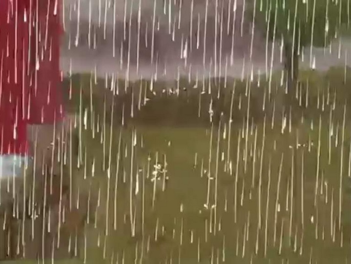 that kind of day - Snoops