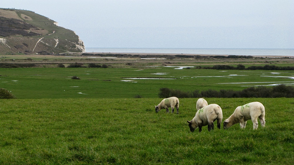 Cuckmere Haven - m.joy Cuckmere Haven - m.joy