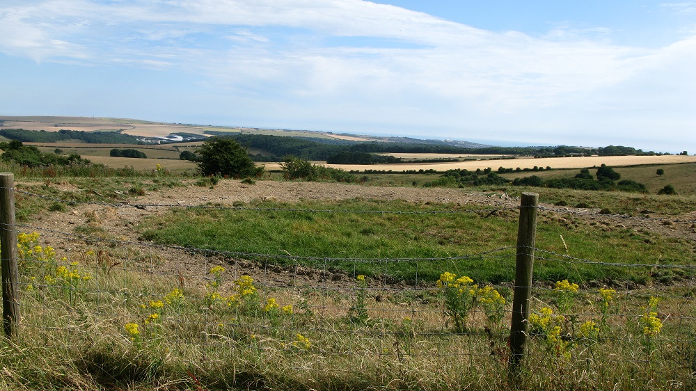 Dew Pond - Ditchling Beacon - July 2018 - m.joy Dew Pond - Ditchling Beacon - July 2018 - m.joy