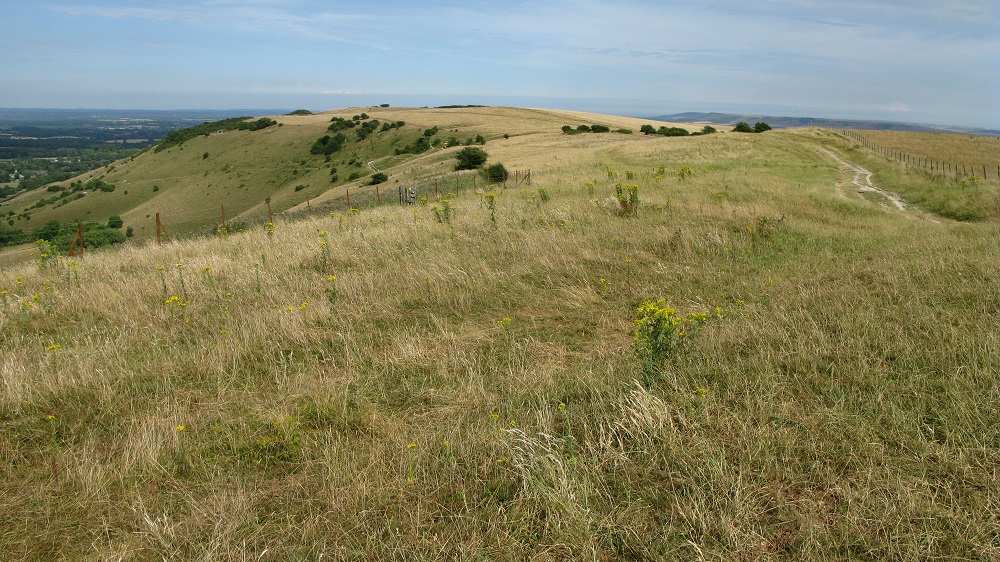 Ditchling Beacon - July 2018 - m.joy Ditchling Beacon - July 2018 - m.joy