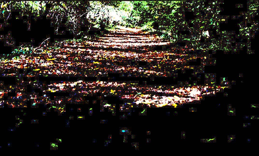 autumn - m.joy autumn - m.joy